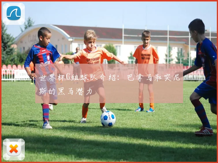 世界杯G组球队介绍：巴拿马和突尼斯的黑马潜力