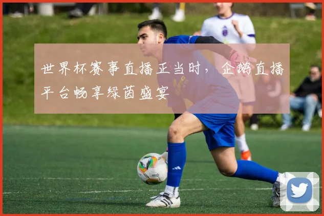 世界杯赛事直播正当时,企鹅直播平台畅享绿茵盛宴