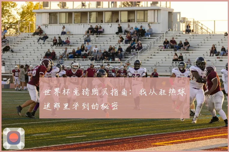 世界杯竞猜购买指南:我从狂热球迷那里学到的秘密