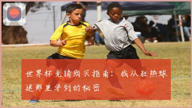 世界杯竞猜购买指南:我从狂热球迷那里学到的秘密