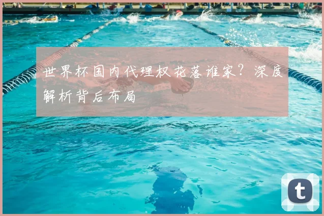 世界杯国内代理权花落谁家?深度解析背后布局