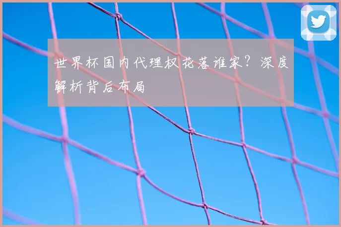 世界杯国内代理权花落谁家？深度解析背后布局